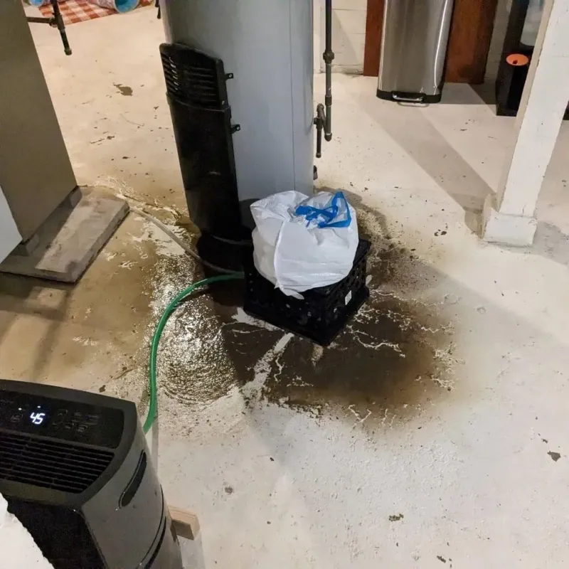 Sewage Backup Cleanup Service in Pell City, AL